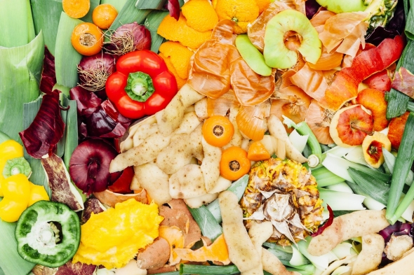 Epluchures fruits et légumes restes de préparation de repas